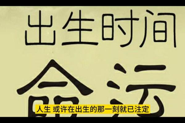 九月的命运：探索2009年9月出生之人的独特人生轨迹