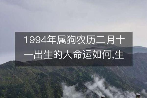 1994年属什么命：揭秘1994年出生的人的命运与性格特征