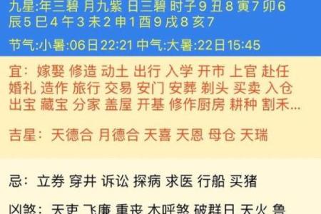 己卯月丁巳日的命理解析与人生启示