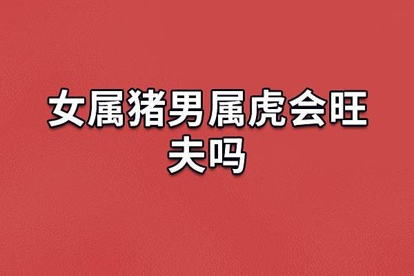 1986年属虎：火命人的性格魅力与人生启示