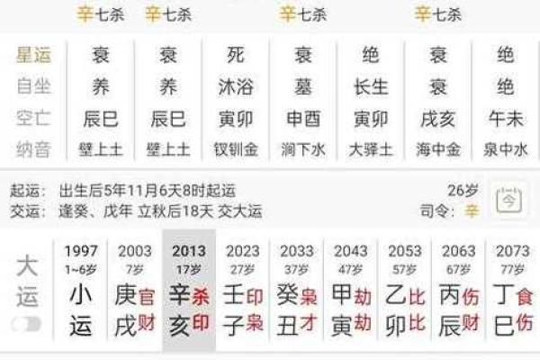 揭示你的命盘：适合学习的个性与机遇