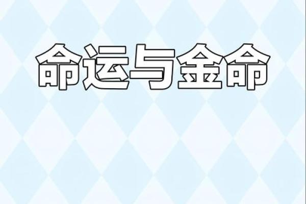 金命人士适合哪些颜色手机？深度解析与推荐！