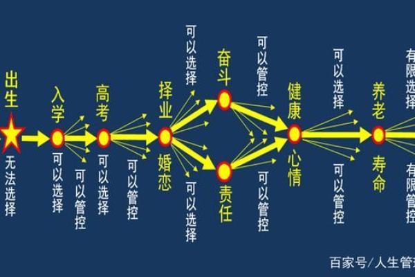 1974年1月出生的人命运如何？解读独特人生轨迹与性格特征