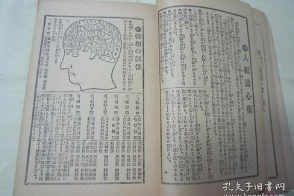 1999年：命理解析与人生启示，发掘你的命运密码