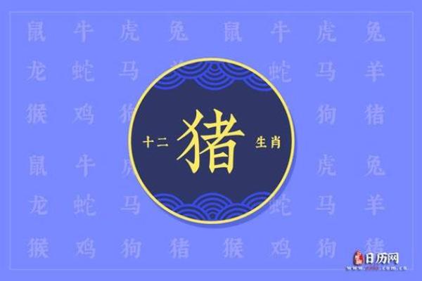 2019正月属相解析：解读属猪命的性格与运势