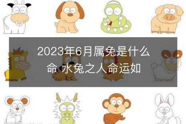 2023年：水命之年的探索与启示