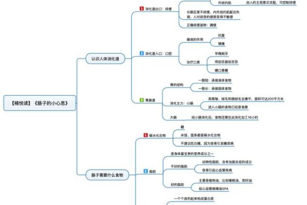 揭秘男子婚姻与命运的神秘关联，如何影响人生选择？