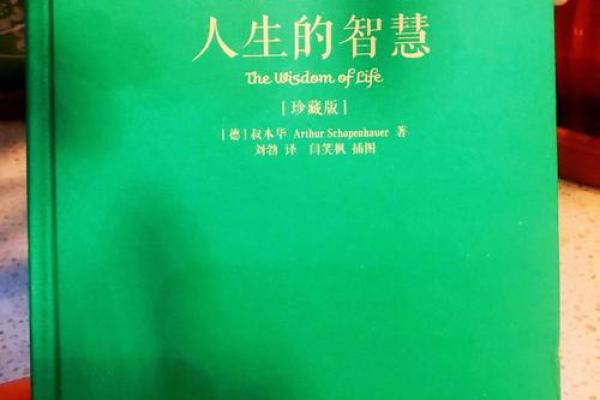 1982年鼠人命运揭秘：解锁你的命理智慧与人生方向