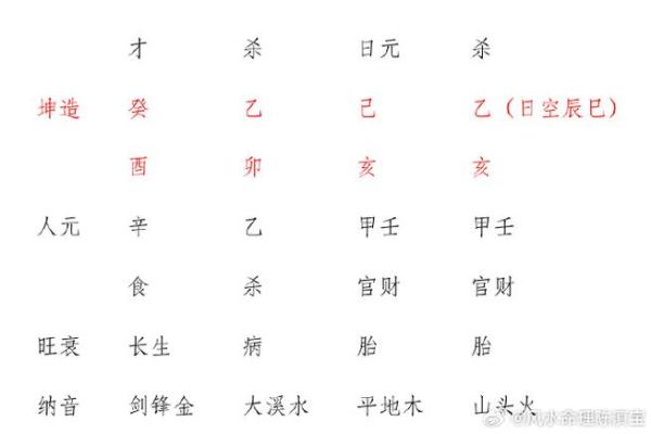 2019年乙亥：解析命理之道与人生启示