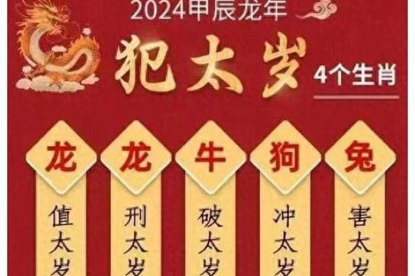 2023年生肖揭秘：探寻50年间的属相密码与命理智慧