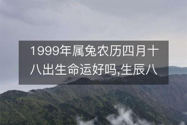 兔年出生的宝宝命运解析，助您选择最优良的出生时机！