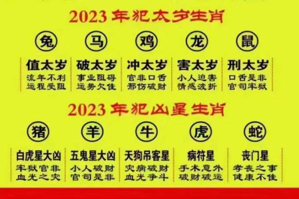 1991年出生的你，命运如何？详解这一年生肖命理！