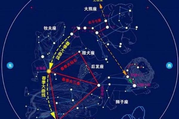 揭示童子命与星座的奥秘：哪些星座在命运中更容易拥有童子命？