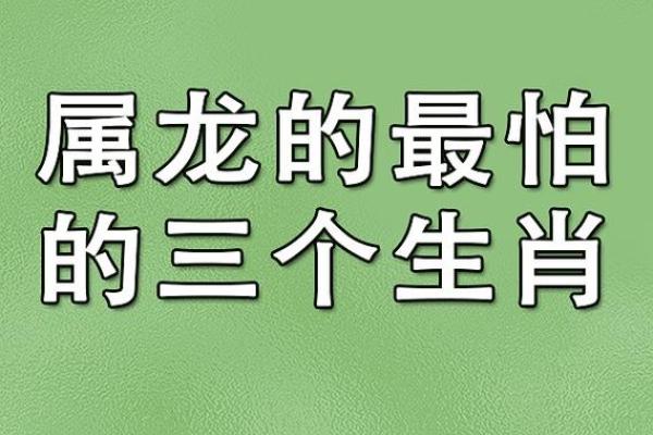 2000龙年出生：命运与性格的深度解析