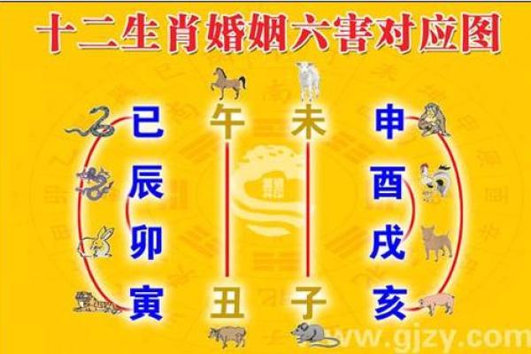 交情恶化，命难逃：你知道哪些属相最受影响吗？