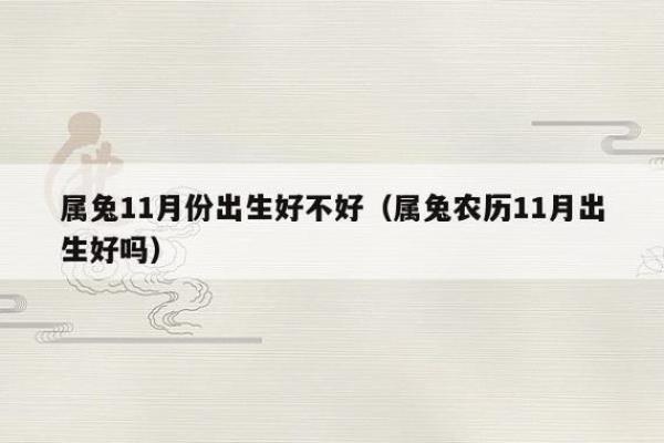 生于1987年的兔年命运解析：揭示人生中的机遇与挑战