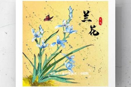 兰花命的奥秘：探索兰花代表的人生智慧与情感寄托