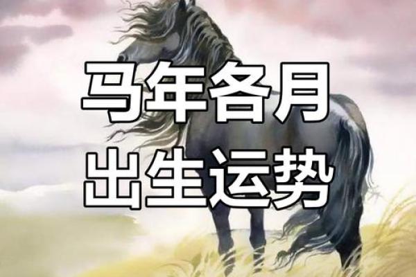 春天的马：解读属马之人的命运与性格特征