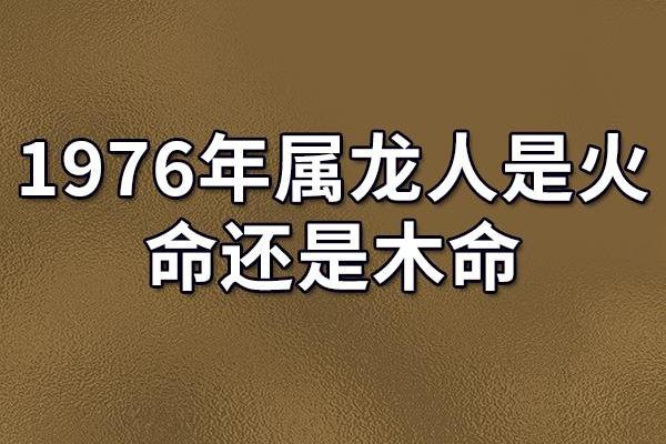 揭示2000年11月20日出生者的命运与性格特征