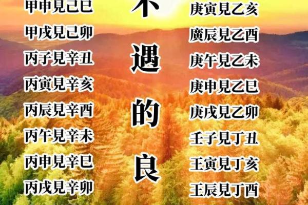 2009己丑年：探寻命理背后的深意与人生启示