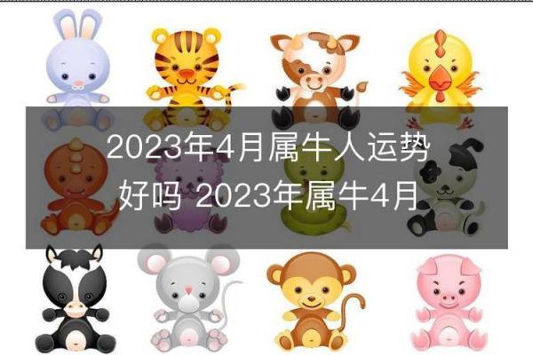 2023年牛年运势分析：如何把握命理机遇，迎接成功与快乐！