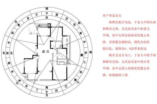 家居布置指南：水鼠命适合的摆设与风水配置