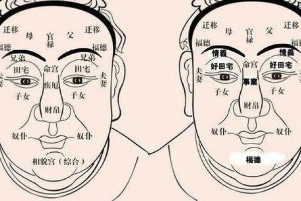 揭秘下巴高的人命运：性格与运势的深度解析