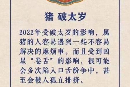 2020年属猪人的命运解析与生活指导