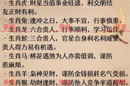 2028年属鸡人运势与性格特征的全解析，鸡年命的幸运与挑战！