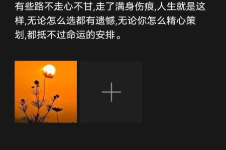 2020年12月：揭示命运的秘密与人生的转折点