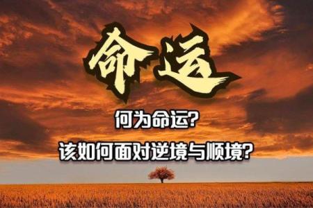 揭秘白虎命星：掌控命运与运势的神秘符号