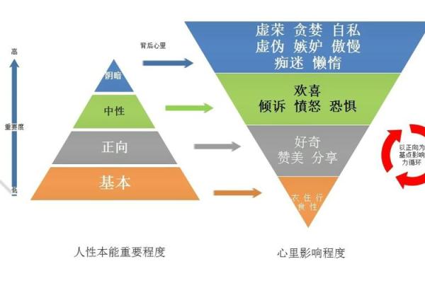 肚脐外翻的秘密：命运与性格的深层关系揭秘