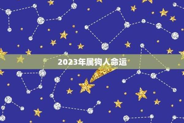 2023年属狗的命运运势解析：生活与事业双丰收的秘密