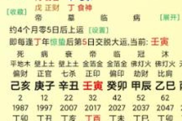 丙子命的意义解析：从命理看人生与命运的指引