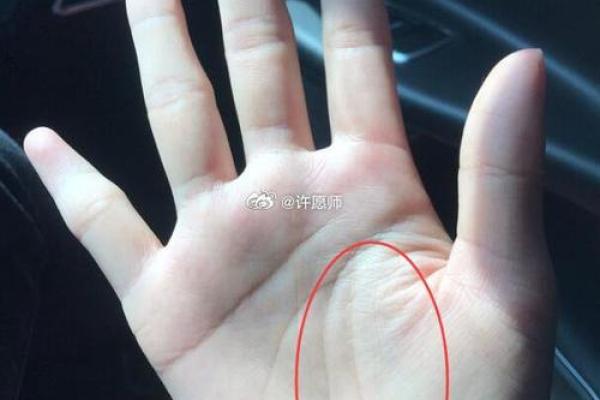 揭秘手纹：哪些手纹预示着早婚命格？