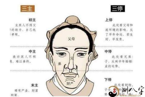 门牙大的人是什么命？从面相看命运的秘密