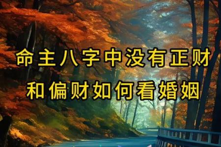 癸巳年宅命解析：探寻命主的独特人生轨迹与命运优势