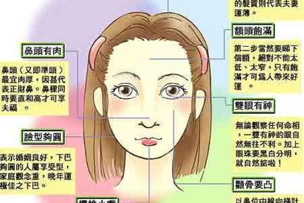 耳朵长细女人的命运解析：从命理看她们的生活与性格特征