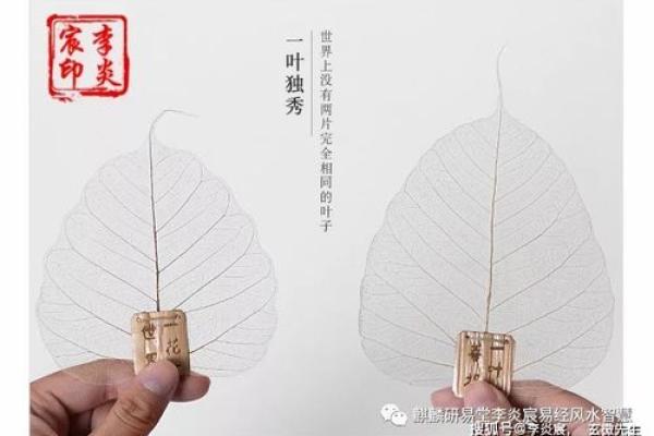 丙辰丁卯命格解析：如何充分发挥人生潜力与优势