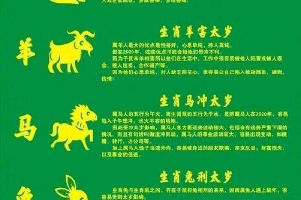 探索96丙子鼠的命格与运势：揭开人生的神秘面纱