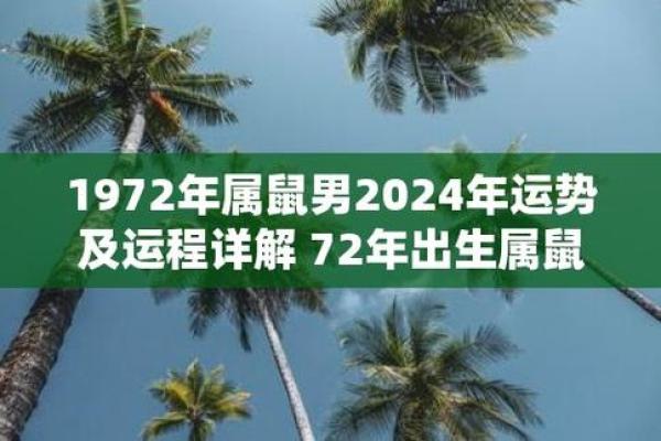 探索96丙子鼠的命格与运势：揭开人生的神秘面纱