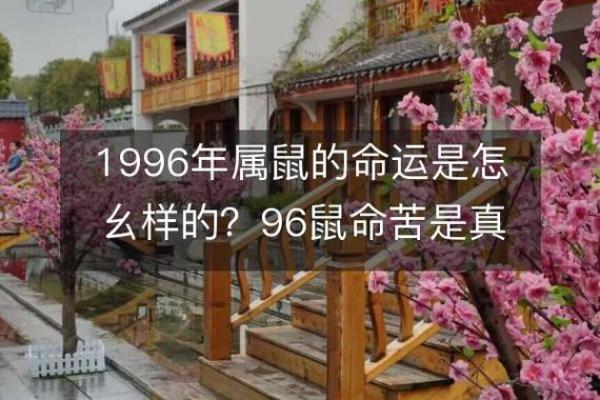 2008年属鼠人的命运解析：如何把握机遇与挑战？