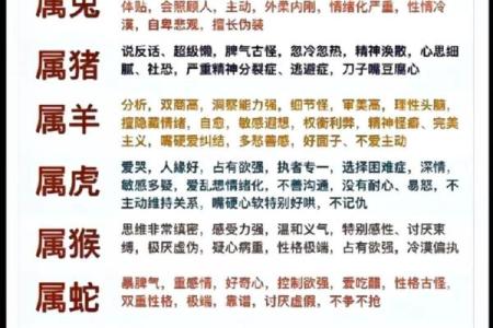 2017年的生肖与命理：解读属鸡人的性格与命运