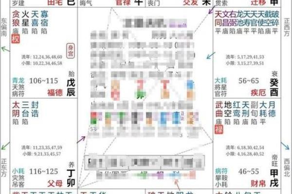 紫薇命盘解析：揭示你的职业潜力与发展之路