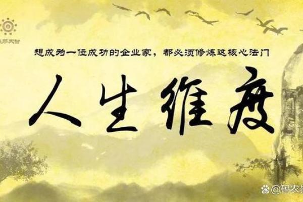 2008年属鼠人的命运解析：财运、事业与感情的全面剖析