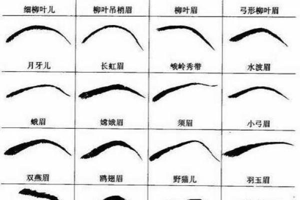 额头不高的人命运分析：解密命理与性格的深层联系