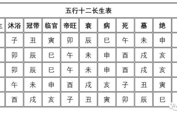 3019年属猪者的命运解析：五行与命理的结合探讨