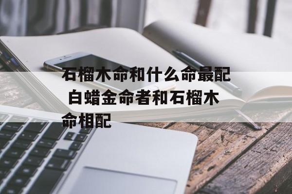 庚辰与辛巳：白蜡金命的性格与运势探索