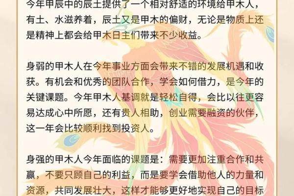 2024：璀璨之年，探寻命理背后的故事与智慧