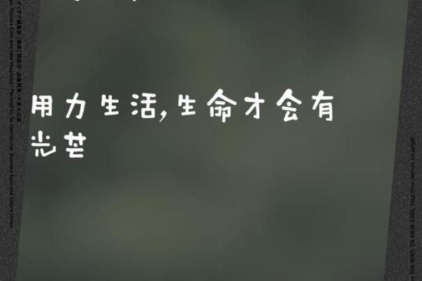 揭开1996年12月3日出生命运之谜：潜能与挑战并存的生命旅程